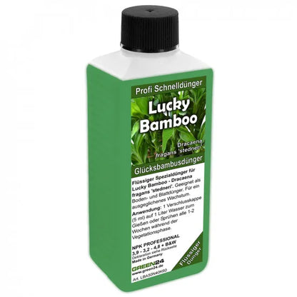 Glücksbambus-Dünger – 250 ml – Produktansicht