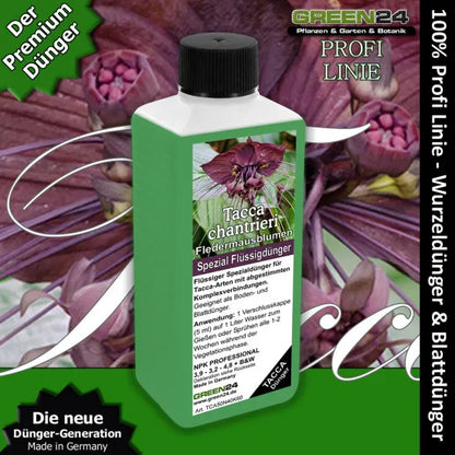 Fledermausblumen-Dünger – 250 ml – Produkt und Pflanze
