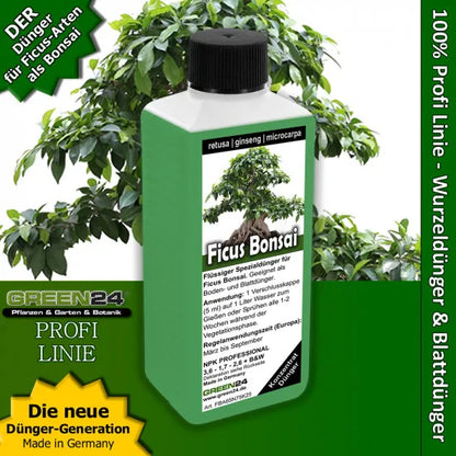 Ficus-Ginseng-Bonsai-Dünger – 250 ml – Produkt und Pflanze