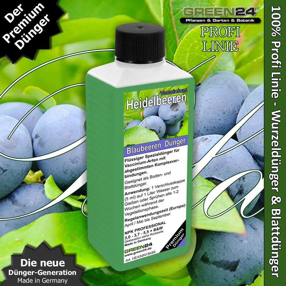 GREEN24 Heidelbeer-Dünger 250 ml – Produktansicht mit Pflanze