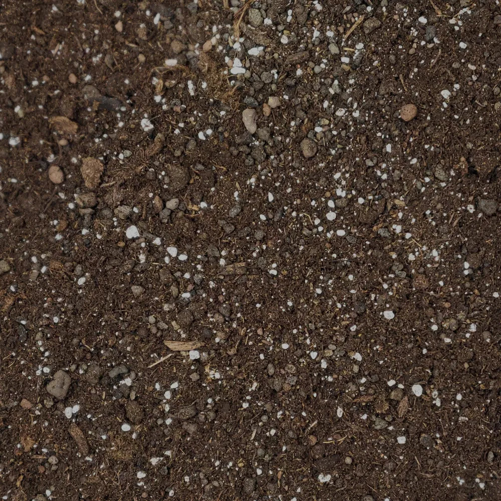 Palmfarn-Erde für Cycas – 10 Liter Substratdetail