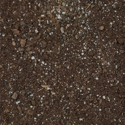 Palmfarn-Erde für Cycas – 10 Liter Substratdetail