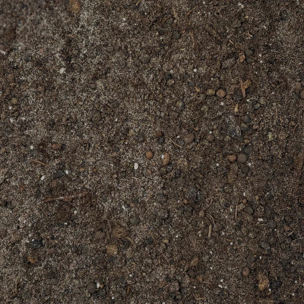 Hawaiian Palm Compost original texture