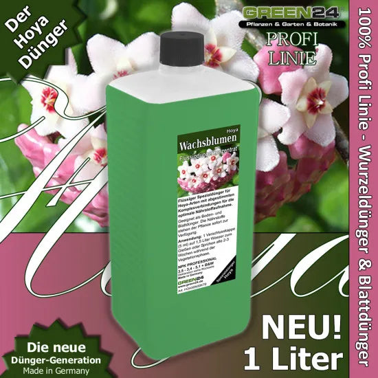 Hoya-Dünger XL – 1 Liter – Produkt und Pflanze