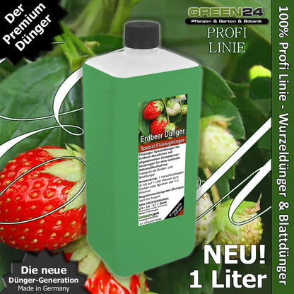 GREEN24 Erdbeer-Dünger XL 1 Liter – Produktansicht mit Pflanze
