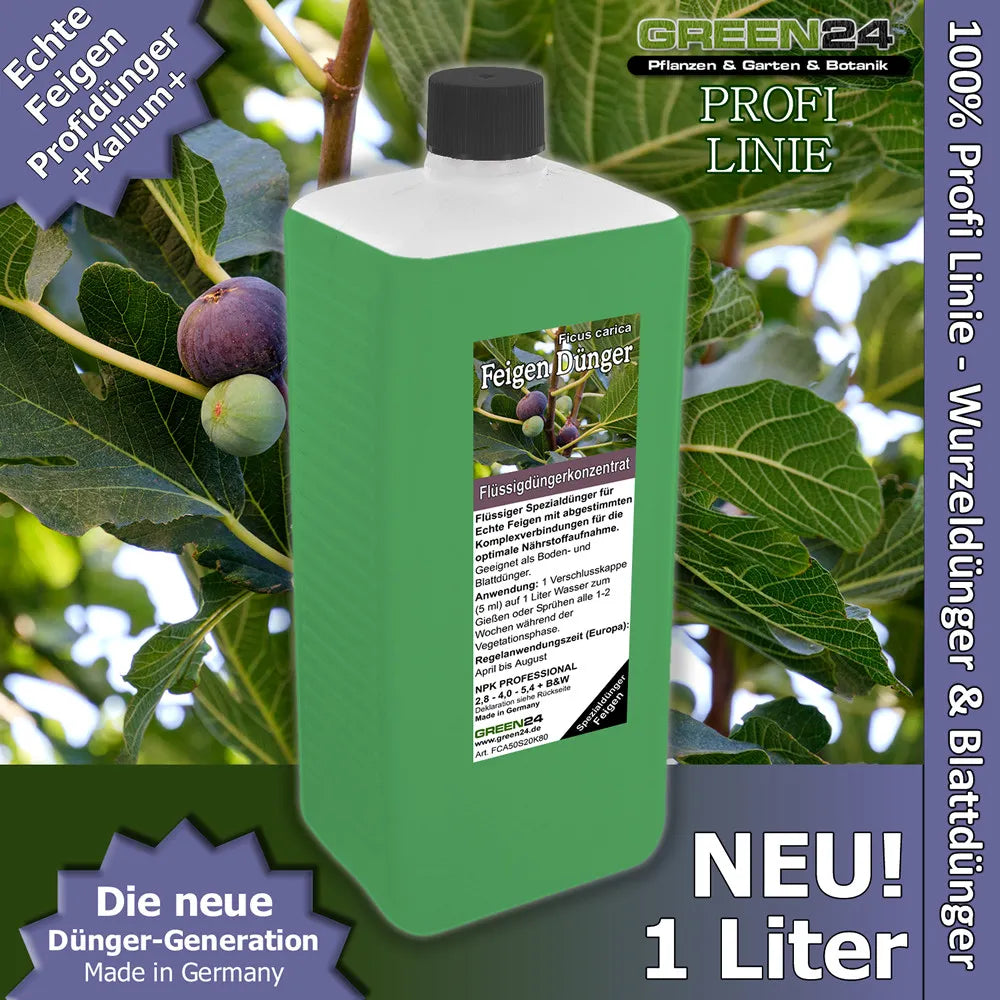 GREEN24 Feigen-Dünger XL 1 Liter – Produktansicht mit Pflanze