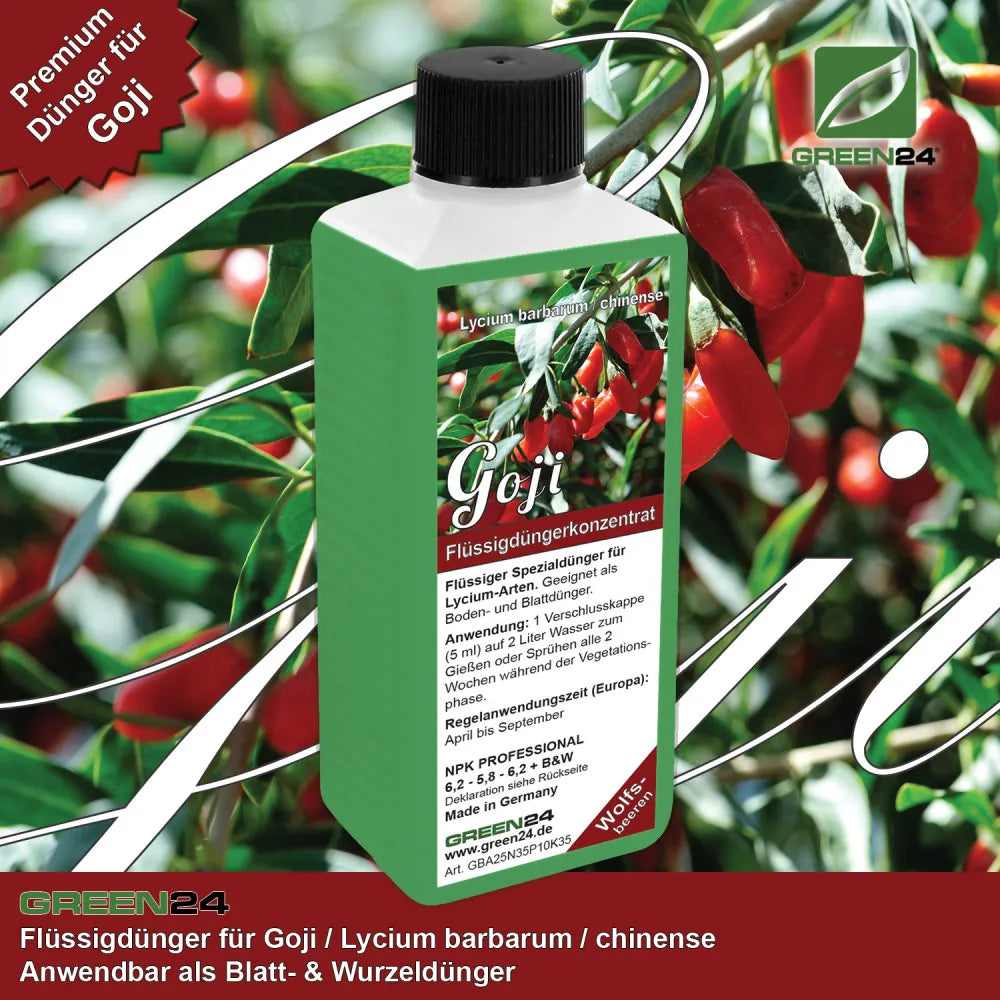 GREEN24 Goji-Dünger 250 ml – Produktansicht mit Pflanze