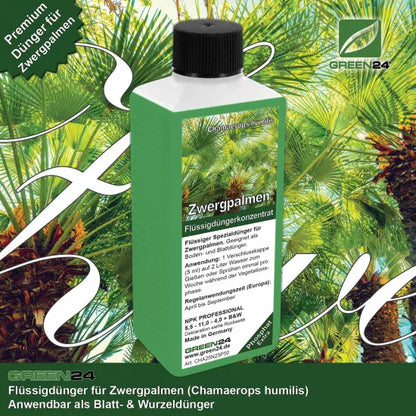 Zwergpalmen-Dünger Profi | Chamaerops humilis NPK Flüssigdünger 250ml | Fächerpalme düngen | GREEN24 PROFI LINIE – Produkt und Anwendung