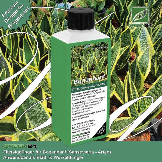 Bogenhanf-Dünger – 250 ml – Produkt und Pflanze