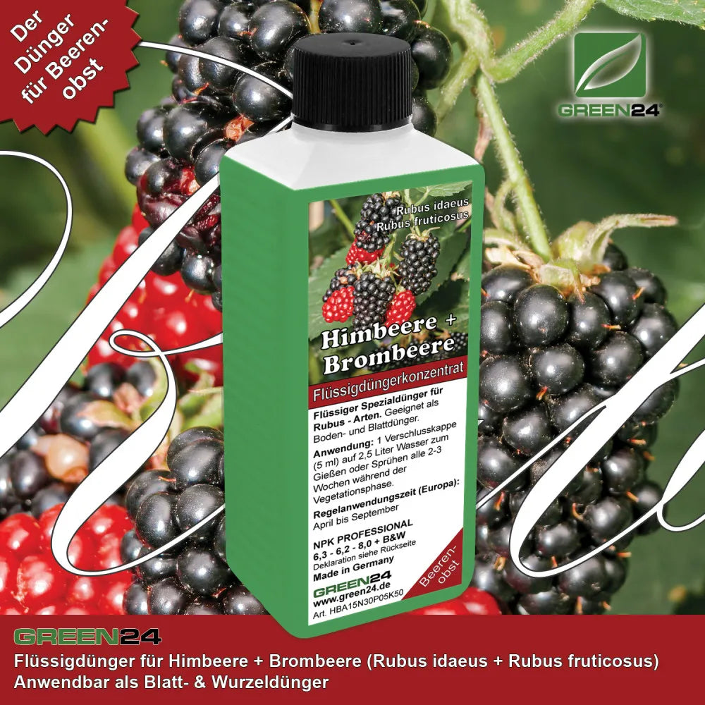 GREEN24 Himbeer- und Brombeer-Dünger 250 ml – Produktansicht mit Pflanze
