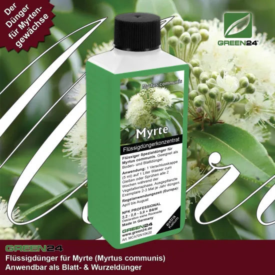 Myrtus communis Dünger für Myrte, Myrtengewächse düngen, Brautmyrte und Gemeine Myrte – Produkt und Anwendung