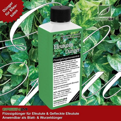 Efeututen-Dünger – 250 ml – Produkt und Pflanze