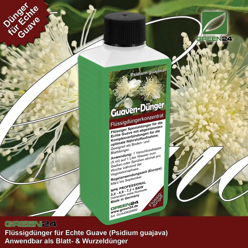 GREEN24 Guaven-Dünger 250 ml – Produktansicht mit Pflanze