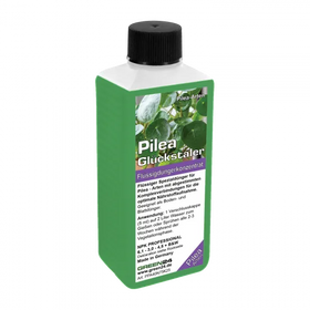 Pilea-Dünger