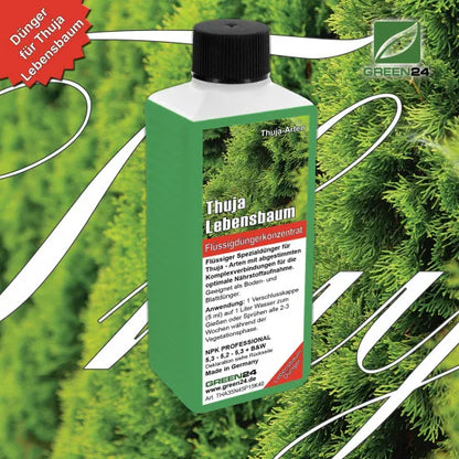 Thuja-Dünger - Lebensbaum, Thuja occidentalis Smaragd Flüssigdünger 250ml – Produkt und Anwendung