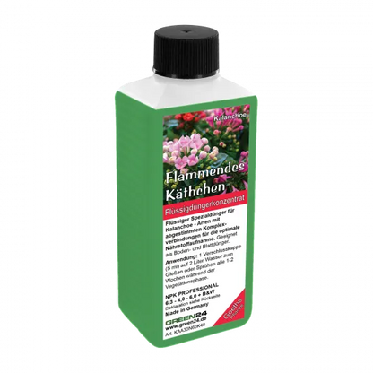 Kalanchoe-Dünger – 250 ml – Produktansicht