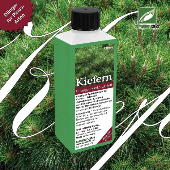 Kiefern-Dünger - Flüssigdünger für Pinus nigra, Pinus pinea, Pinus strobus, Pinus sylvestris, Pinus mugo etc. 250ml – Produkt und Anwendung
