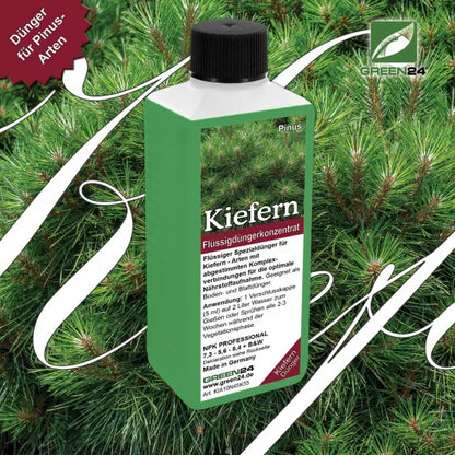 Kiefern-Dünger - Flüssigdünger für Pinus nigra, Pinus pinea, Pinus strobus, Pinus sylvestris, Pinus mugo etc. 250ml – Produkt und Anwendung