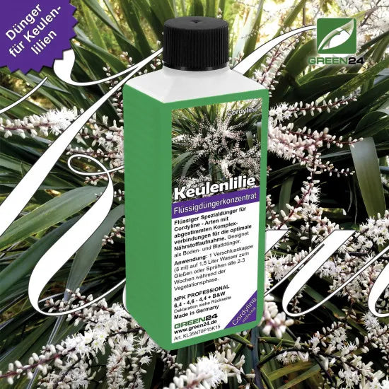 Keulenlilie-Dünger - Cordyline indivisa Flüssigdünger für kräftiges Wachstum 250ml – Produkt und Anwendung