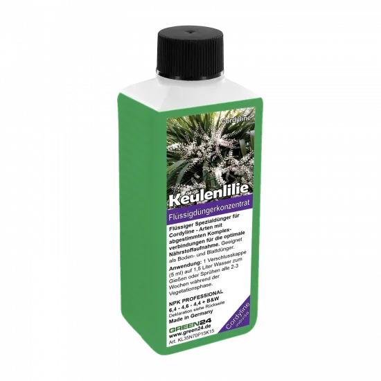 Keulenlilie-Dünger - Cordyline indivisa Flüssigdünger für kräftiges Wachstum 250ml – Produktansicht