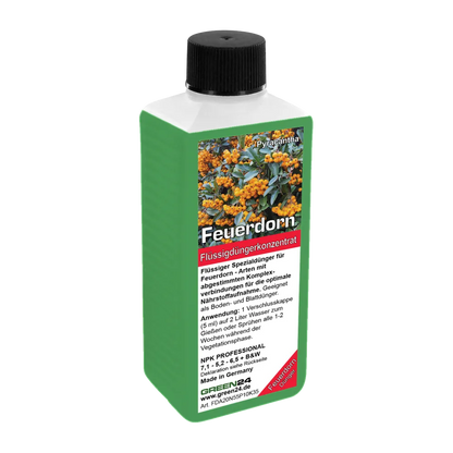 GREEN24 Feuerdorn-Dünger 250 ml – freigestellte Produktansicht