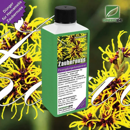 Zaubernuss-Dünger - Hamamelis mollis, japonica, virginiana, vernalis, ovalis - 250ml Super-Konzentrat – Produkt und Anwendung