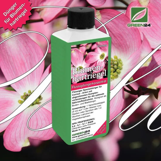 Blumenhartriegel-Dünger - Cornus kousa Flüssigdünger für Blüten-Hartriegel - NPK 250 ml – Produkt und Anwendung