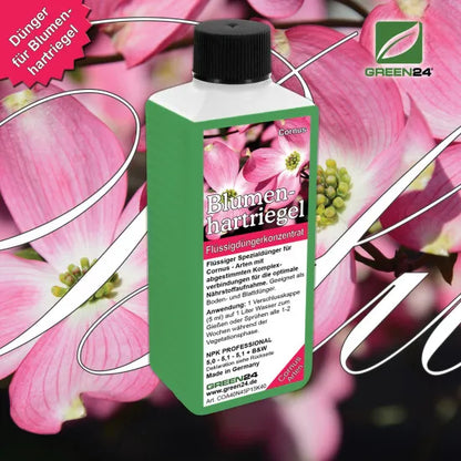 Blumenhartriegel-Dünger - Cornus kousa Flüssigdünger für Blüten-Hartriegel - NPK 250 ml – Produkt und Anwendung
