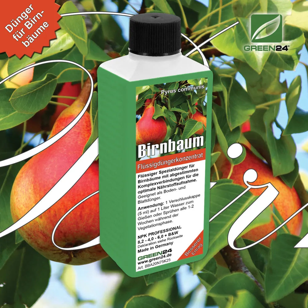 GREEN24 Birnbaum-Dünger 250 ml – Produktansicht mit Pflanze