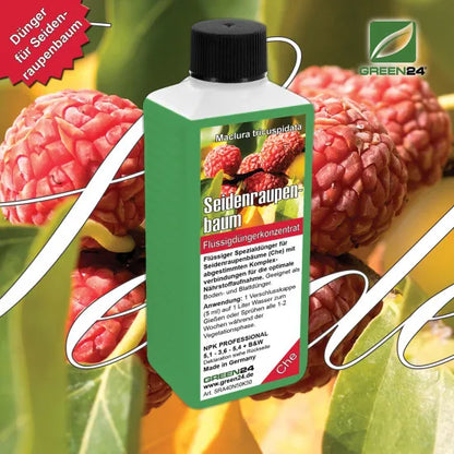 Seidenraupenbaum-Dünger - Maclura tricuspidata Che Frucht Flüssigdünger für robustes Wachstum 250ml – Produkt und Anwendung