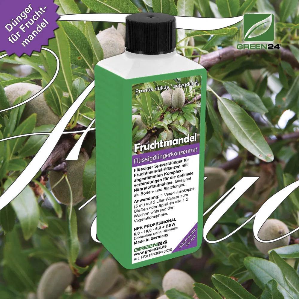 GREEN24 Fruchtmandel-Dünger 250 ml – Produktansicht mit Pflanze