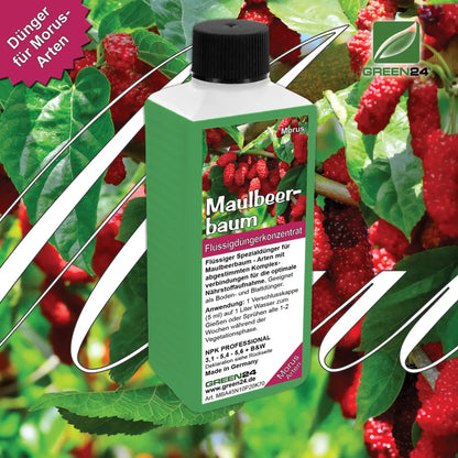 Maulbeerbaum-Dünger 250 ml – Anwendung und Produktdetails