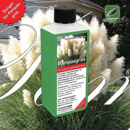Pampasgras-Dünger NPK Cortaderia selloana Flüssigdünger 250ml für schnelles und starkes Wachstum – Produkt und Anwendung