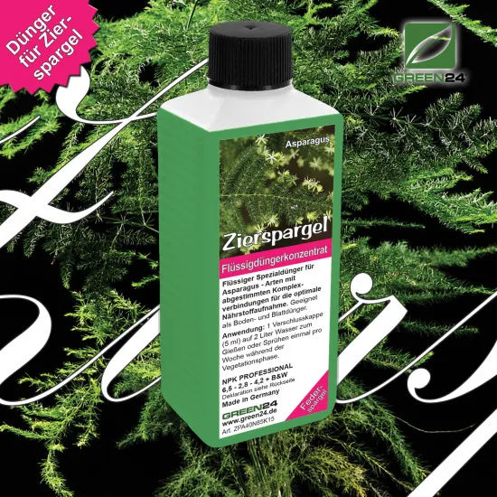 Zierspargel-Dünger – 250 ml – Produkt und Pflanze