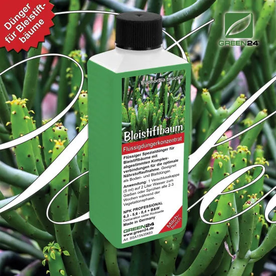 GREEN24 Bleistiftbaum-Dünger – 250 ml – Produkt mit Pflanzenmotiv