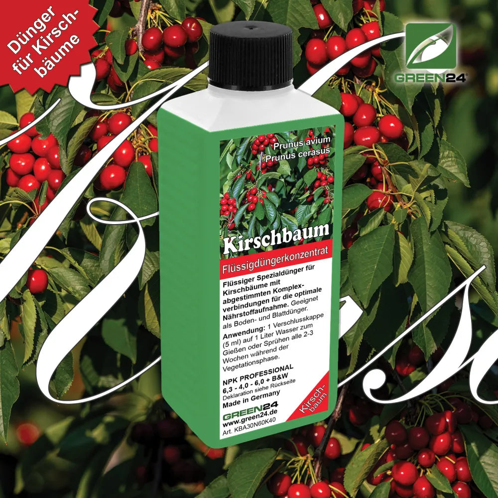 GREEN24 Kirschbaum-Dünger 250 ml – Produktansicht mit Pflanze
