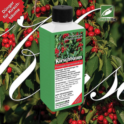 GREEN24 Kirschbaum-Dünger 250 ml – Produktansicht mit Pflanze