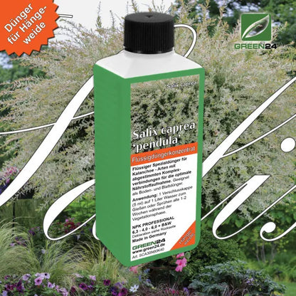 Salix caprea Pendula-Dünger – NPK Flüssigdünger für Salix integra Hakuro Nishiki Harlekinweide, Hängende Kätzchenweide 250 ml – Produkt und Anwendung