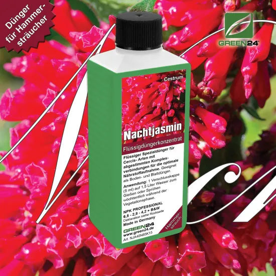 Nachtjasmin-Dünger – Cestrum NPK Flüssigdünger für Hammersträucher 250 ml – Produkt und Anwendung