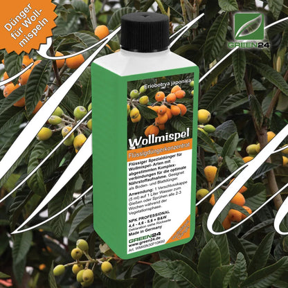 GREEN24 Wollmispel-Dünger 250 ml – Produktansicht mit Pflanze