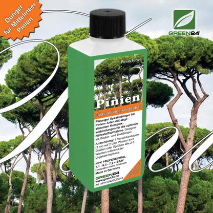 Pinien-Dünger – Pinus pinea NPK Spezialdünger für prächtige Mittelmeer-Pinien 250ml – Produkt und Anwendung