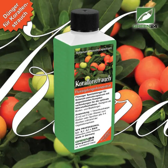 Korallenstrauch – Dünger Solanum pseudocapsicum 250 ml Mineralischer Flüssigdünger mit Spurenelementen | Für Korallenbäumchen / Korallenkirsche / Jerusalemkirsche | Blatt- & Wurzeldüngung – Produkt und Anwendung