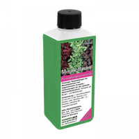 Fittonia Fertiliser