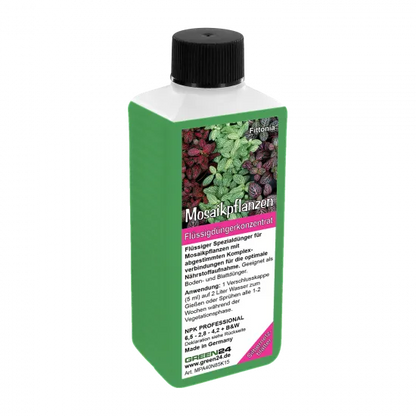 Fittonia-Dünger – 250 ml – Produktansicht