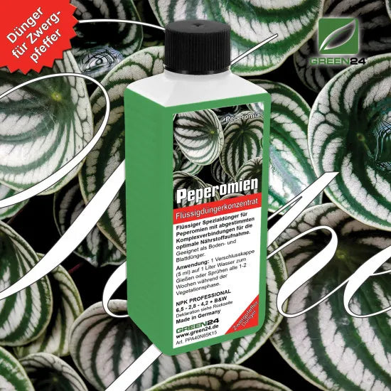 Peperomia-Dünger – 250 ml – Produkt und Pflanze