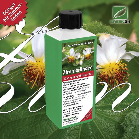 Zimmerlinden-Dünger – 250 ml – Produkt und Pflanze