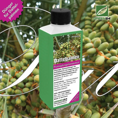 Dattelpalmen-Dünger – 250ml Spezialdünger für Phoenix | Fördert kräftige Wedel & sattes Grün | Ideal für alle Dattelpalmen-Arten – Produkt und Anwendung