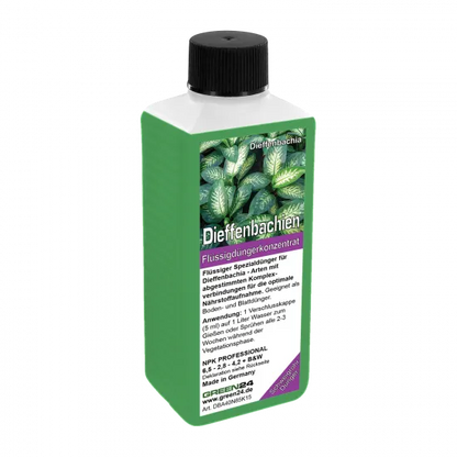 Dieffenbachia-Dünger – 250 ml – Produktansicht