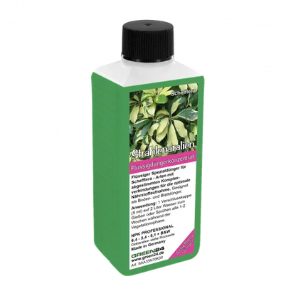 Strahlenaralie-Dünger – 250 ml – Produktansicht