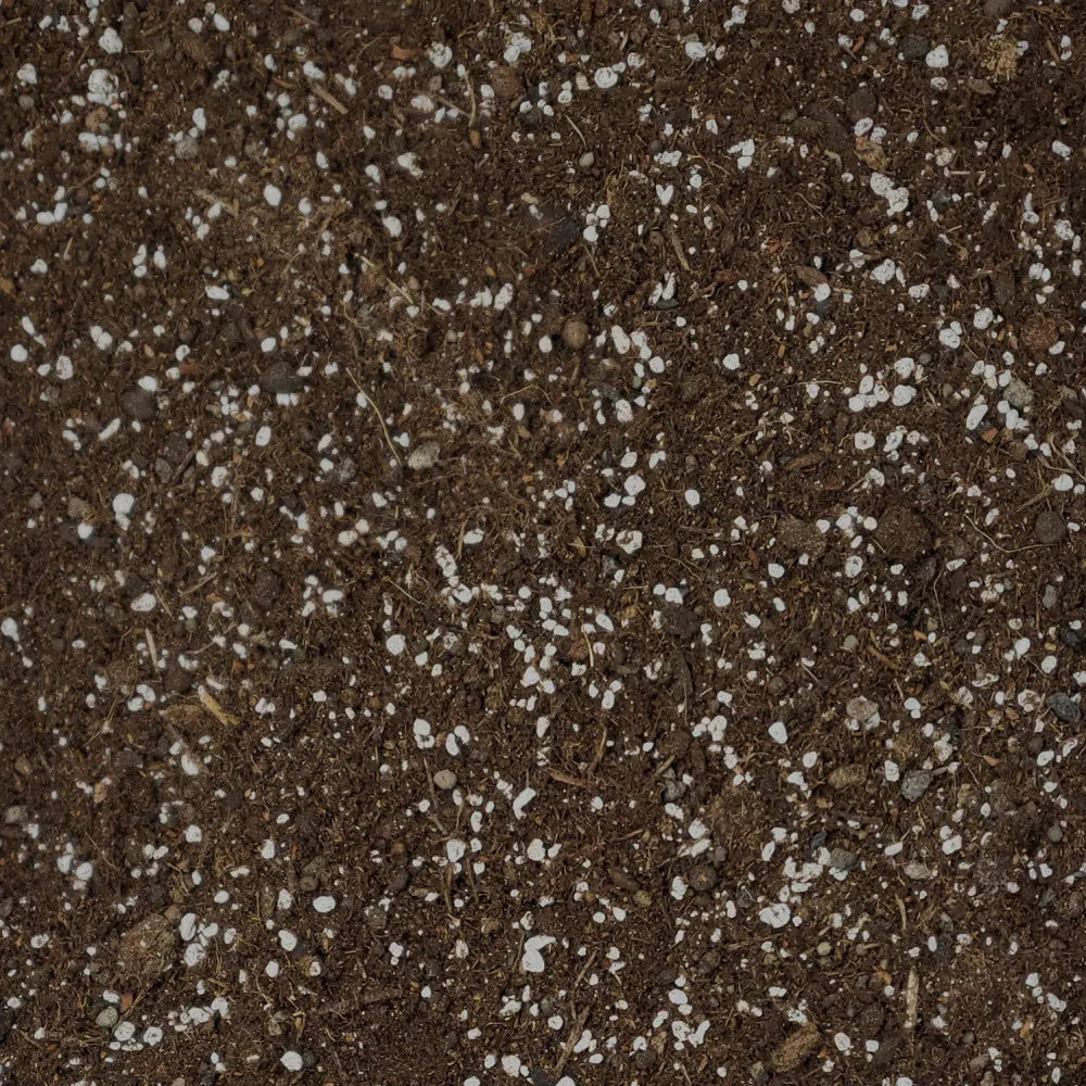 Yucca Compost · plant and root care
